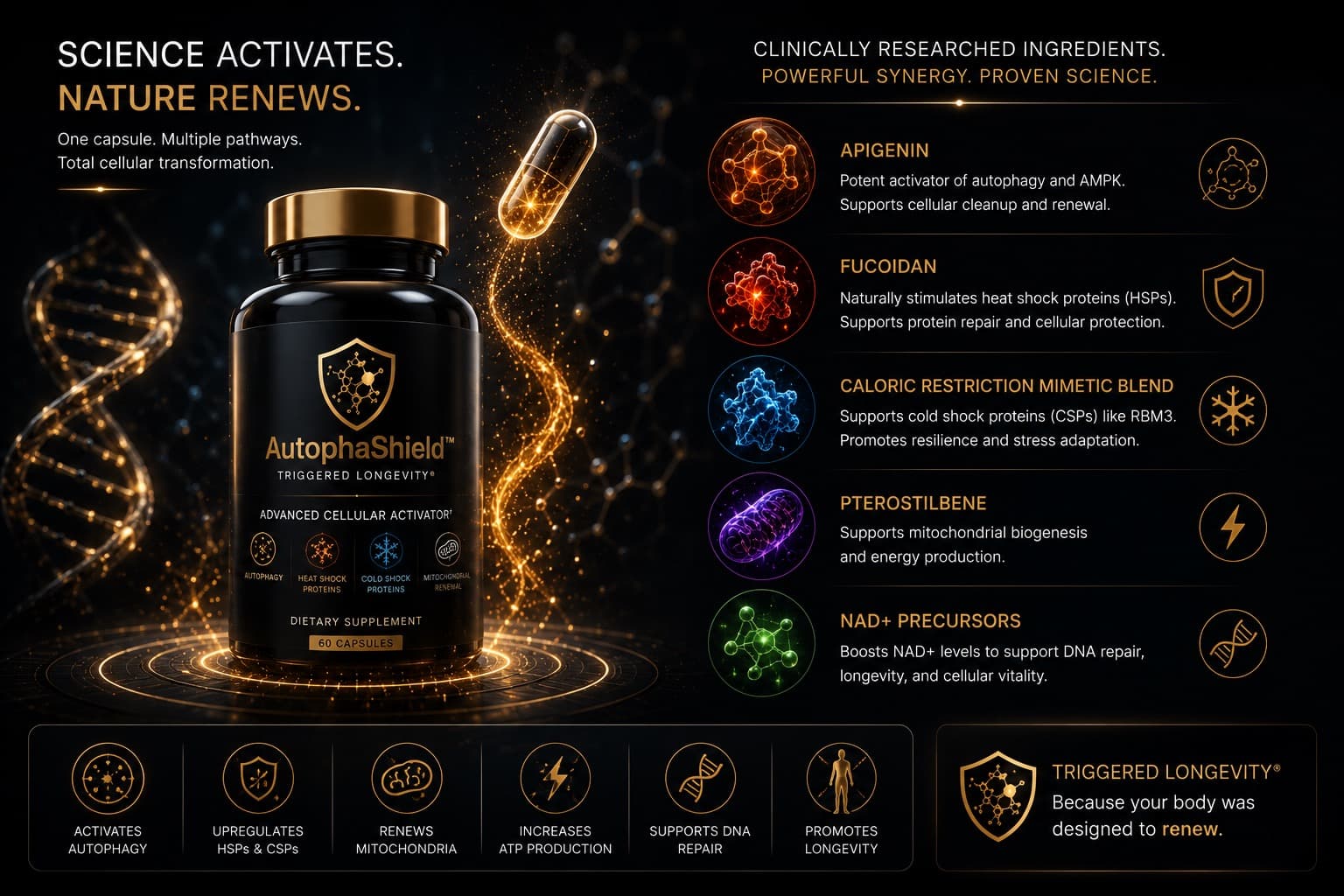 AutophaShield bottle and capsule visual used as formula presentation
